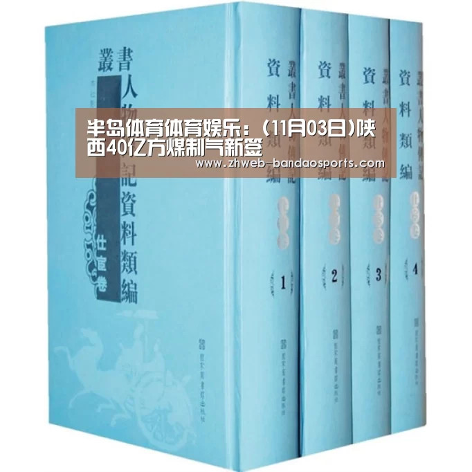 半岛体育体育娱乐:(11月03日)陕西40亿方煤制气新签(图4) 半岛体育体育网