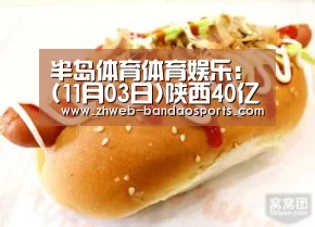 半岛体育体育娱乐:(11月03日)陕西40亿方煤制气新签(图3) 半岛体育下载
