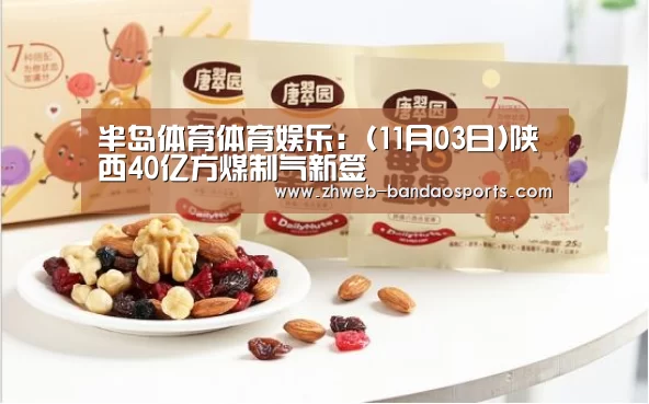 半岛体育体育娱乐:(11月03日)陕西40亿方煤制气新签(图2) 半岛体育体育娱乐