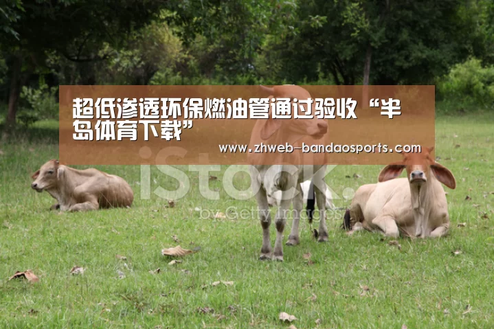 超低渗透环保燃油管通过验收“半岛体育下载”(图2) 半岛体育体育网