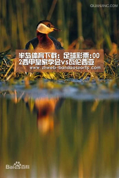 半岛体育下载:足球彩票:002西甲皇家学会vs瓦伦西亚比赛分析分数推荐(图1) 半岛体育体育网